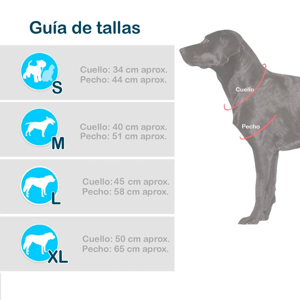 🐶 Disfraz Payasito para Mascotas – ¡Ternura y diversión en un solo look!