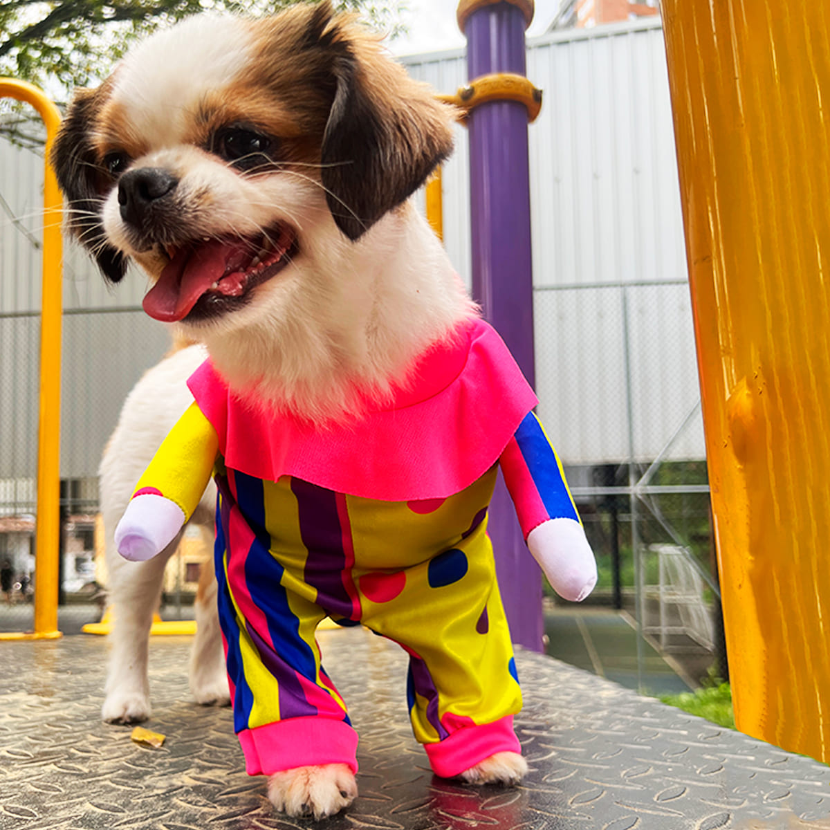 🐶 Disfraz Payasito para Mascotas – ¡Ternura y diversión en un solo look!